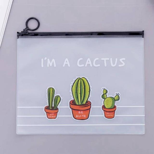 Trousse de toilette transparente cactus